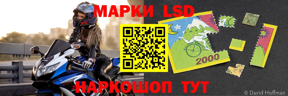 МЕФ Зеленогорск