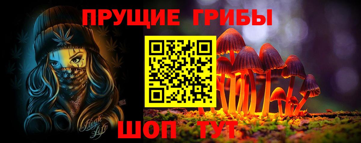 Галлюциногенные грибы Magic Shrooms Зеленогорск